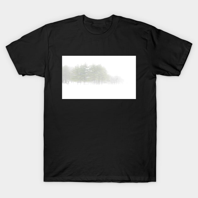 Winter Trees T-Shirt by ShootFirstNYC